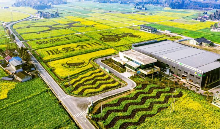 农业技术发展现状中的不足,现代农业技术发展现状和前沿