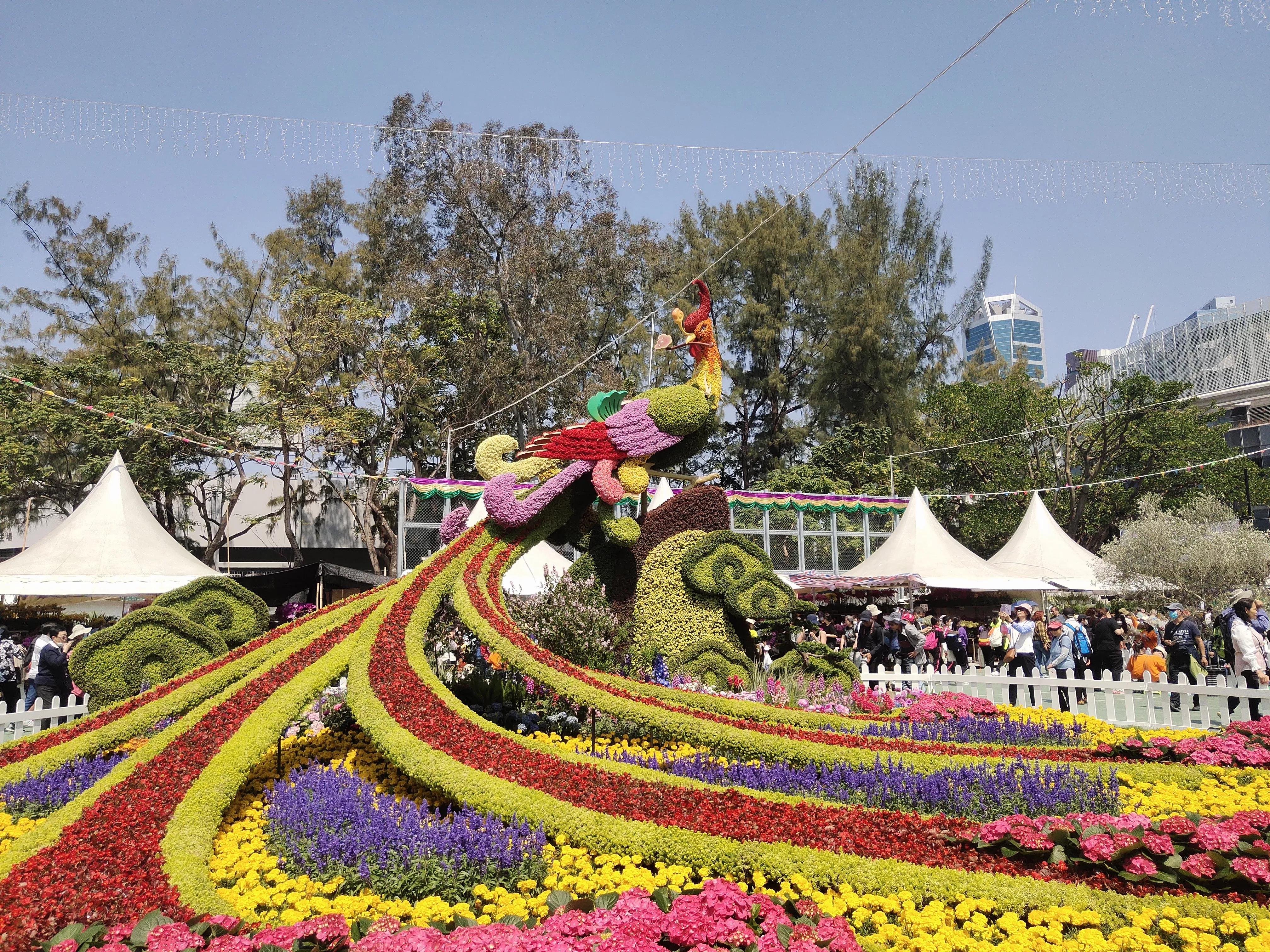 香港参观,参观花展感悟