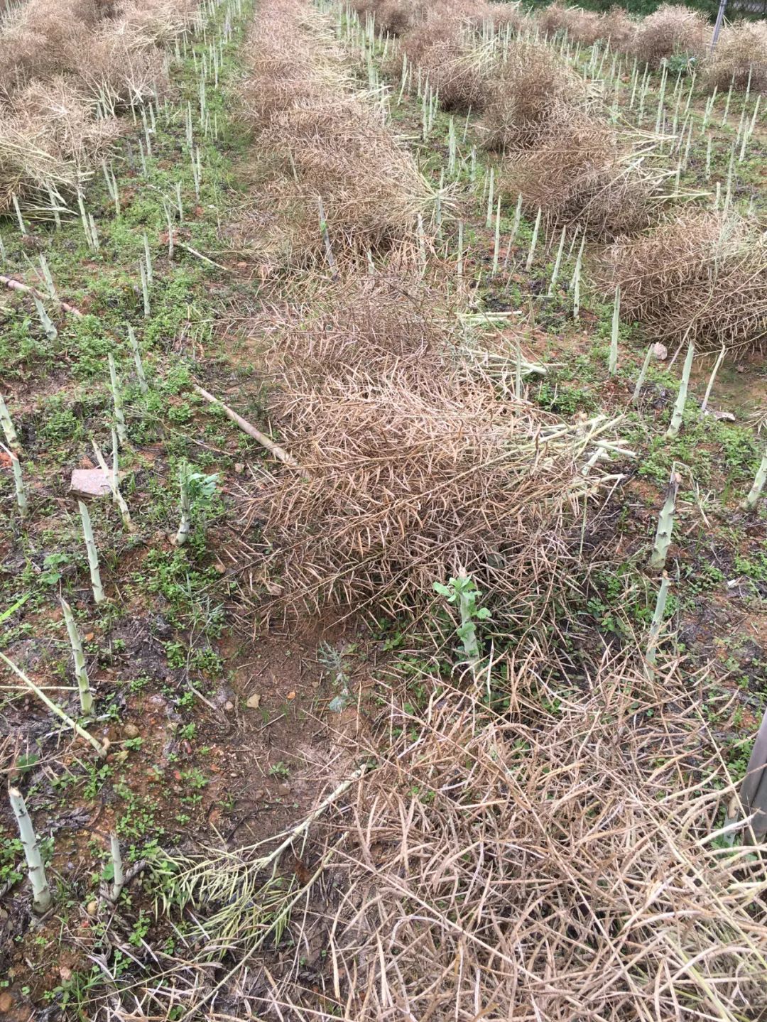 旭光电动车行,旭光车行向阳路