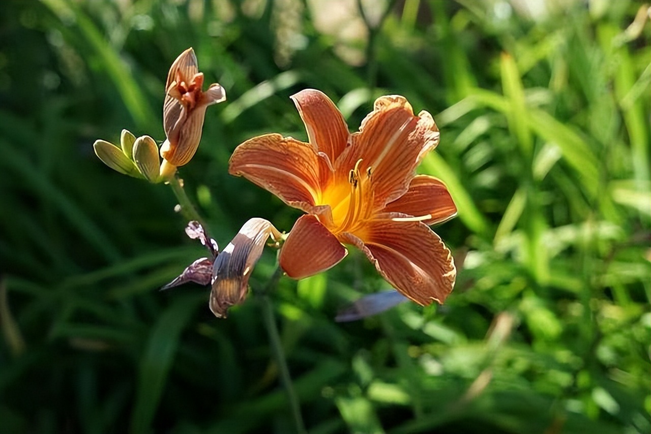 女人不自爱的底层逻辑,女人不自尊自爱的原因