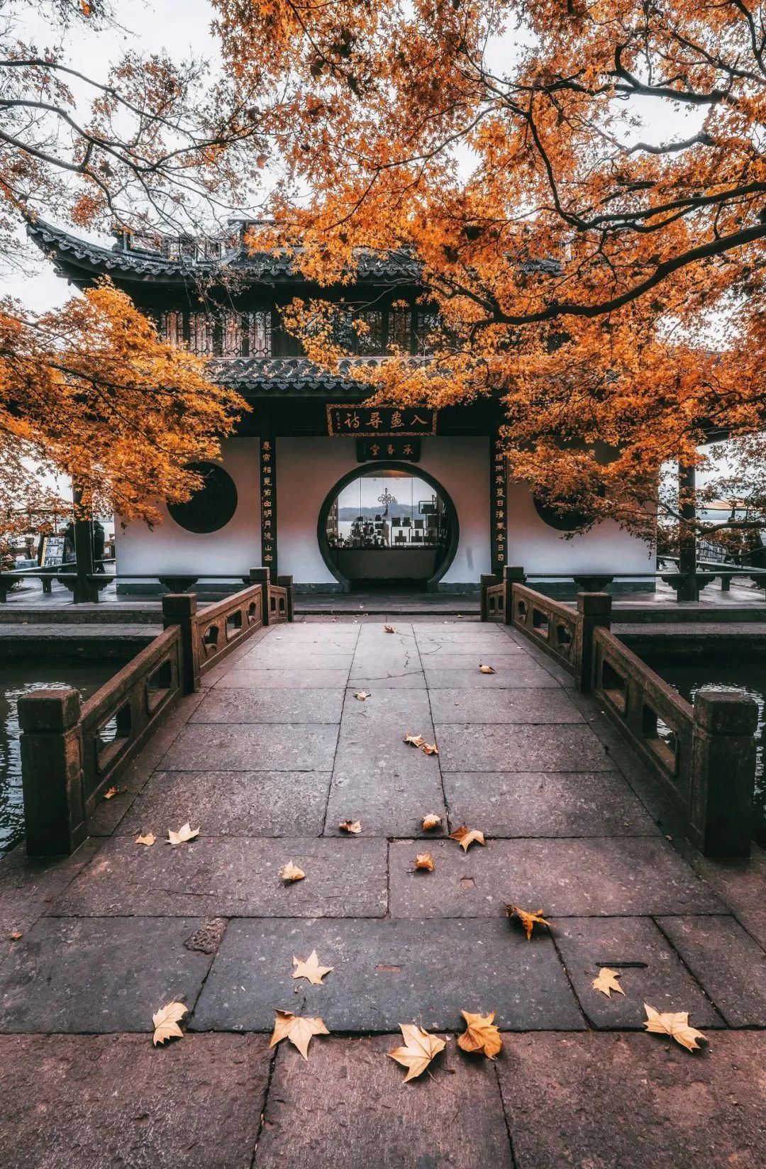 这还是你认识的合肥吗,这还是你认识的蜜雪冰城吗