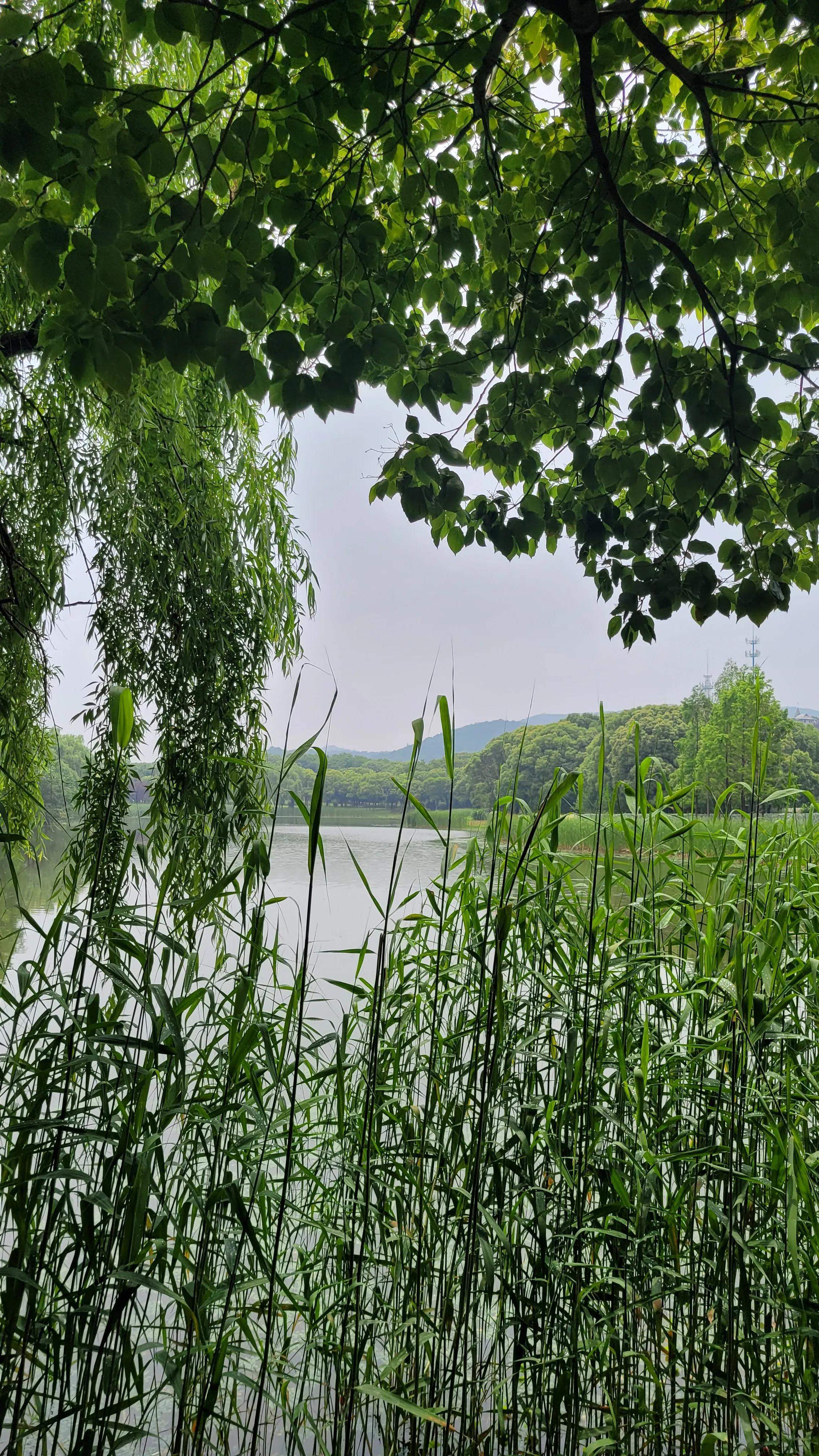 无锡太湖十八湾起点,无锡太湖十八湾在哪