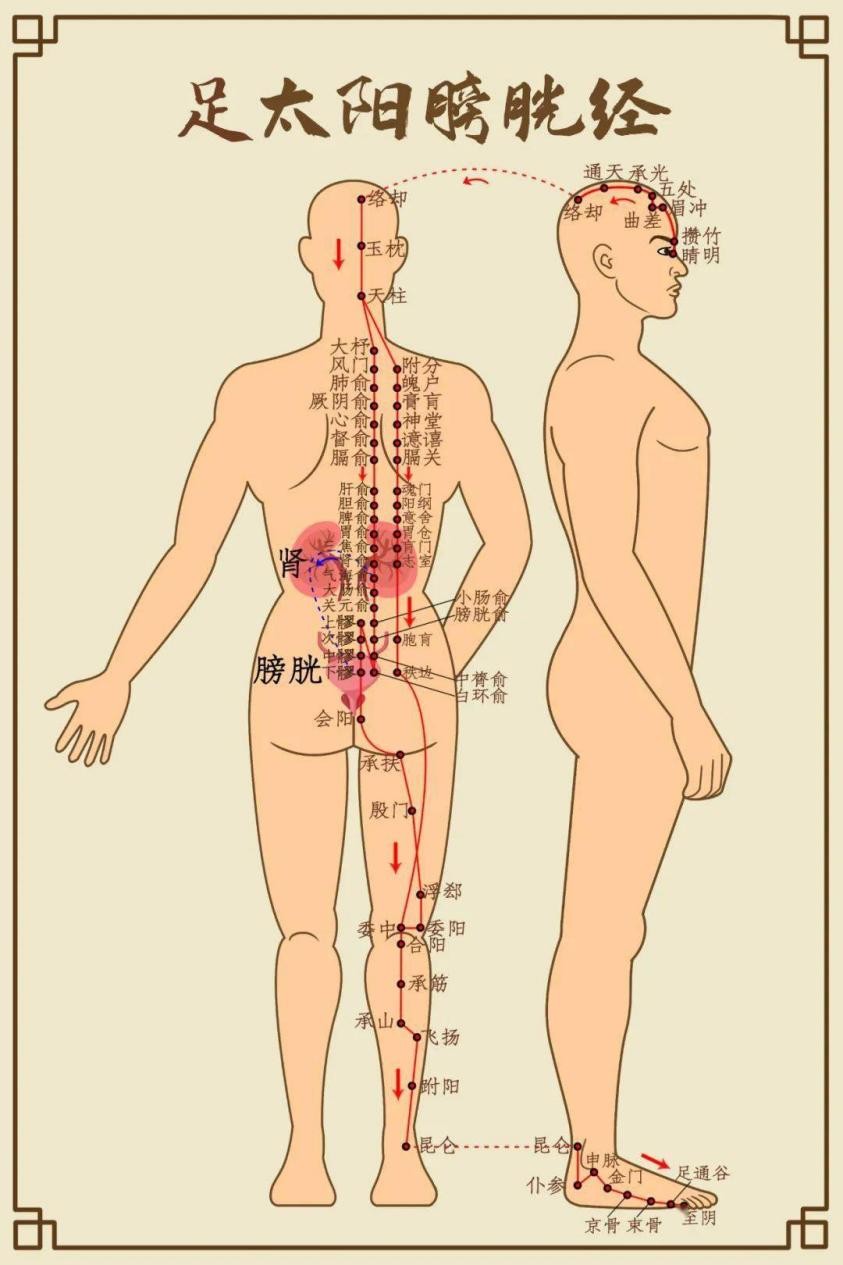 火罐里有水珠怎么回事,火罐拔出水珠是怎么回事