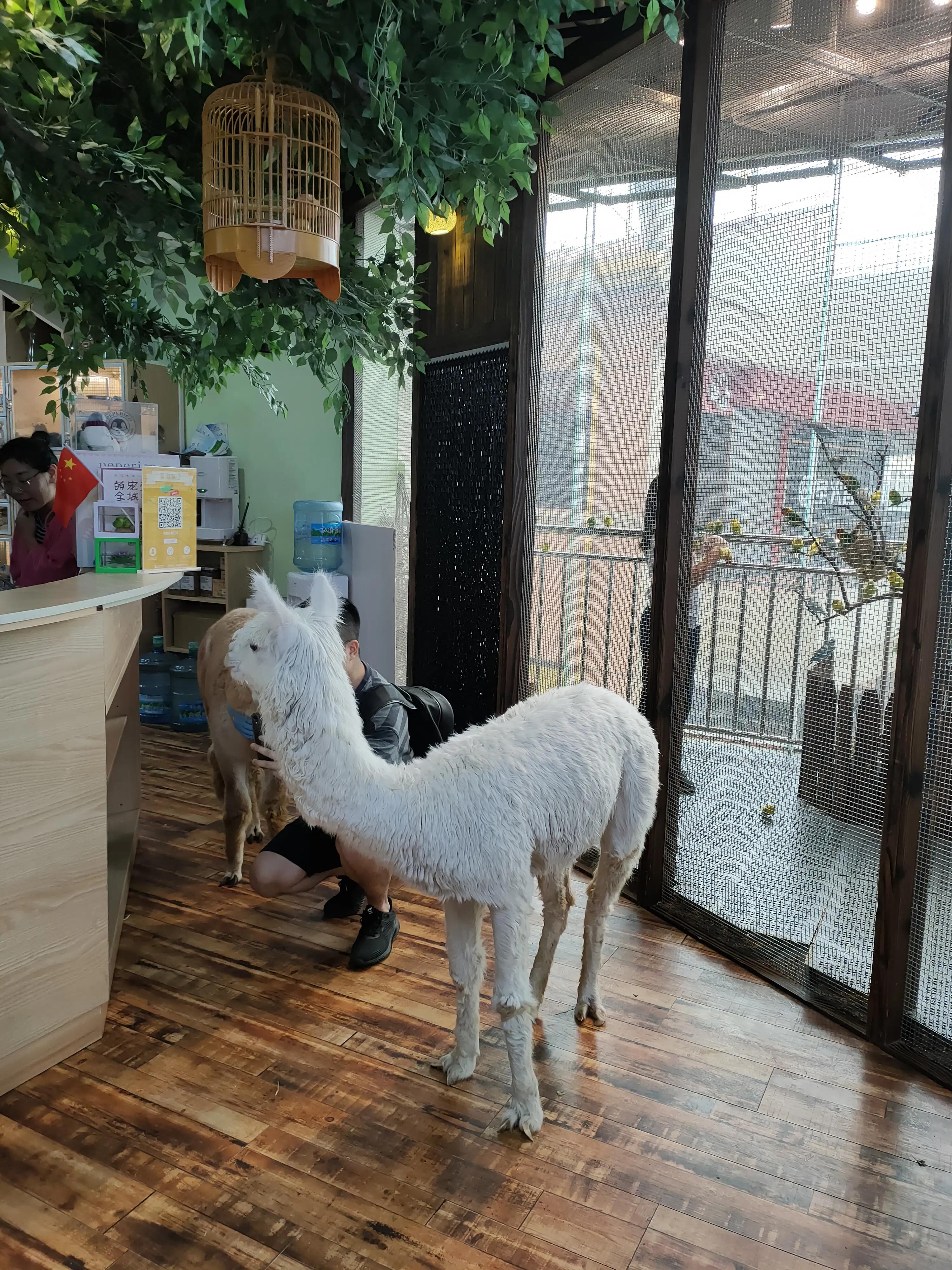 松江开元地中海避风塘,上海市松江区开元地中海