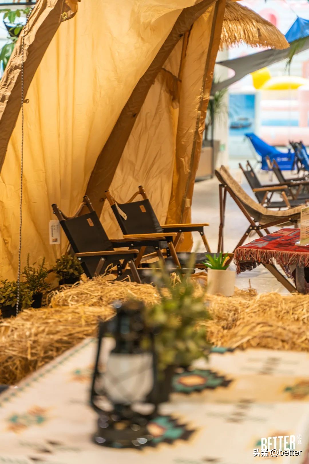 武汉露营集合店,实探武汉新力雅园