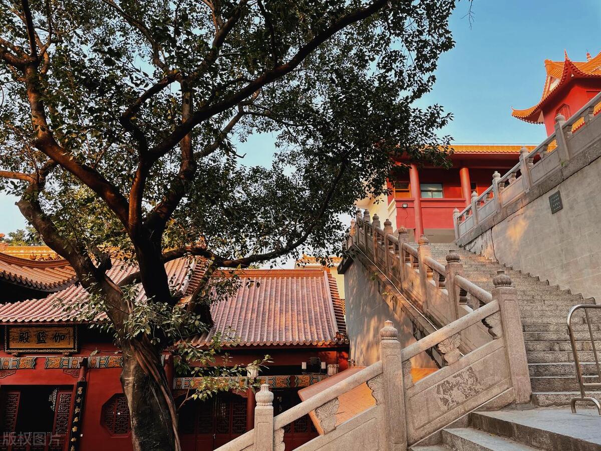 深圳安静的寺庙,深圳适合静修的寺庙