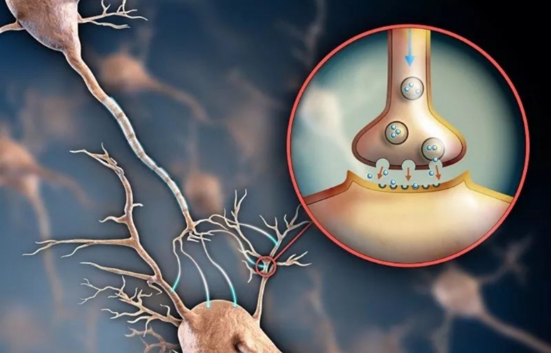 为什么夫妻生活久了，房事次数却少了？换个人也一样？看研究咋说