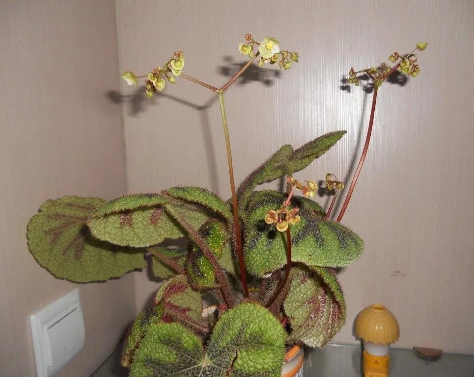 100种迷人的“数字花”,从零到一百万,真是太神奇了