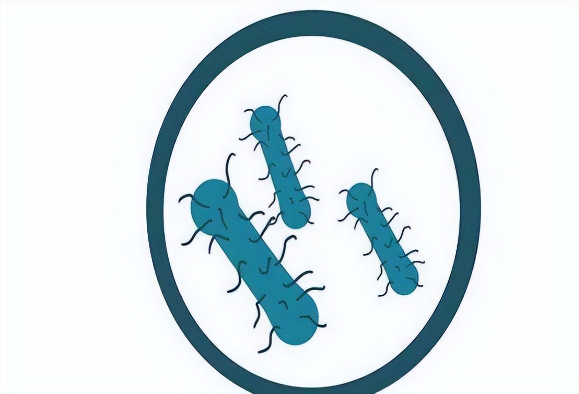 女生洗屁股,洗错或比不洗更麻烦,医生提醒:3个细节要重视