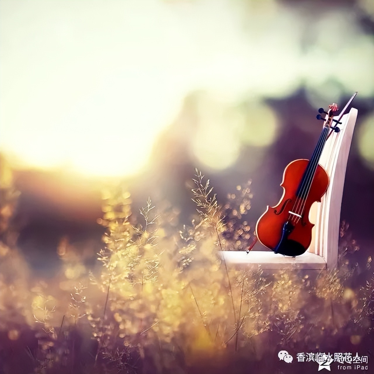 奋斗成就梦想作文初一,奋斗成就梦想作文高一