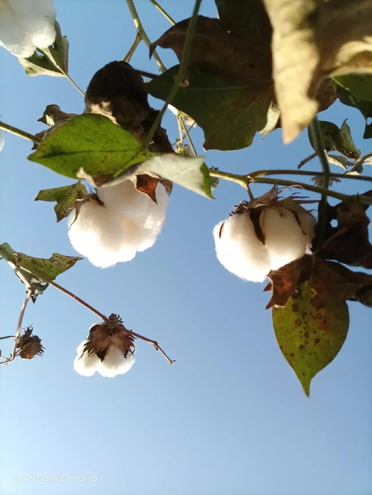 创业成功的关键是什么,创业初期成功的关键