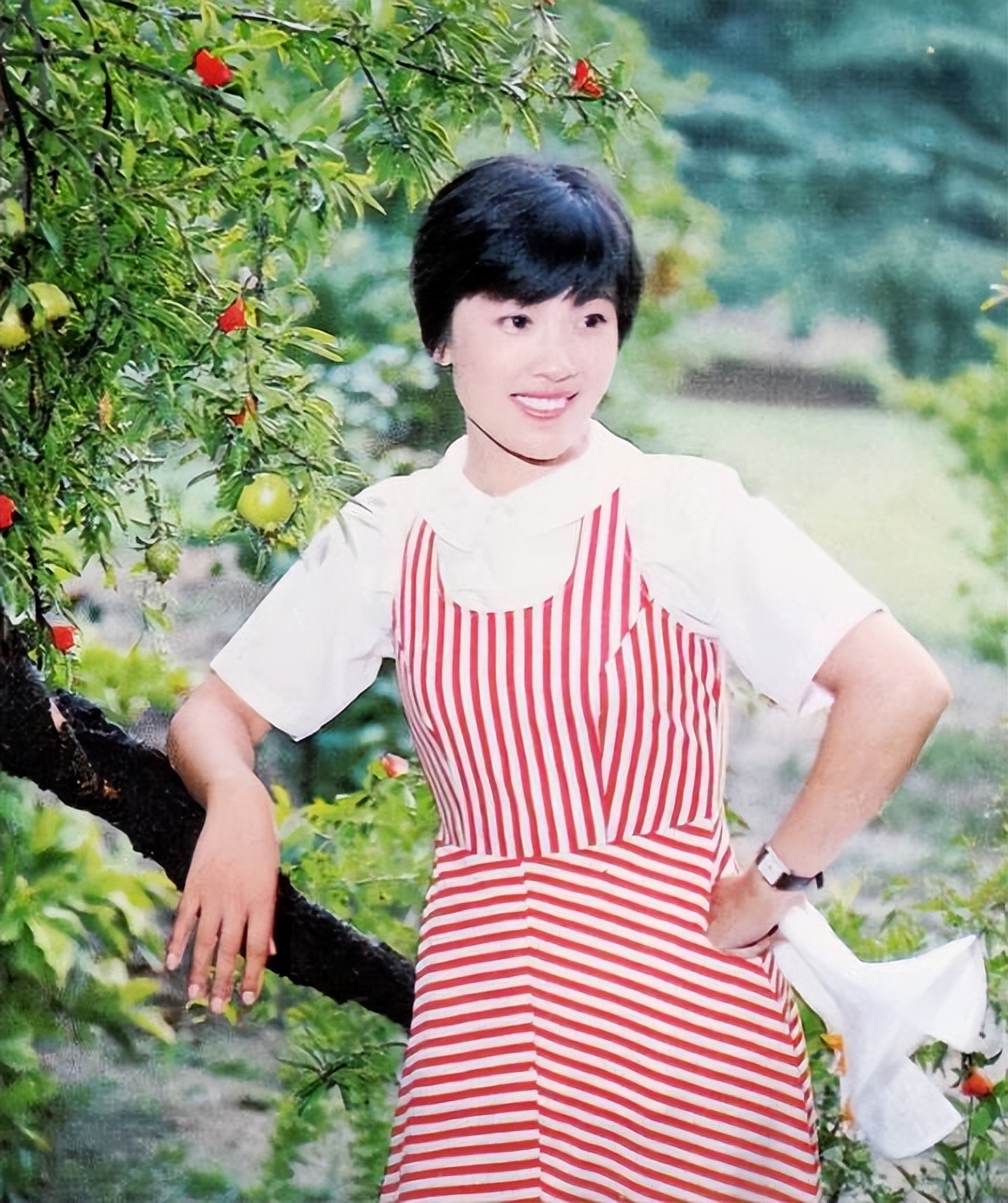 刘晓庆唐国强张纪中巅峰对决,刘晓庆唐国强最新消息