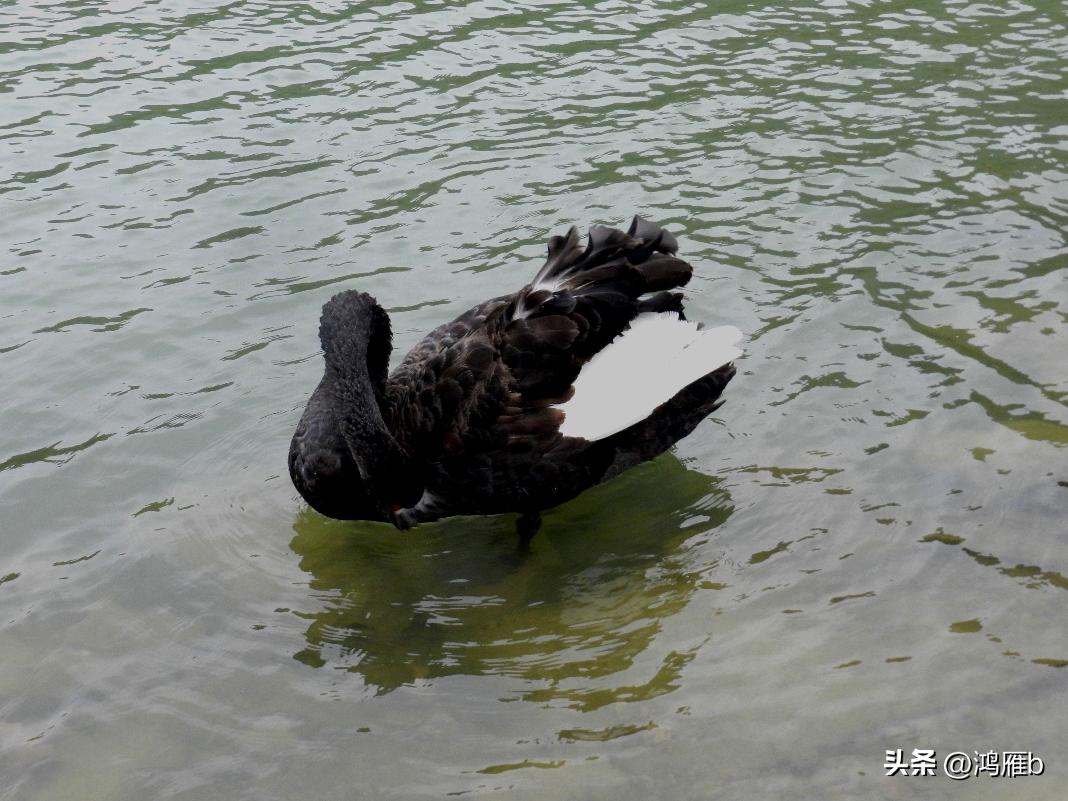 本溪温泉汤沟门票价格,本溪花溪沐枫雪温泉小镇