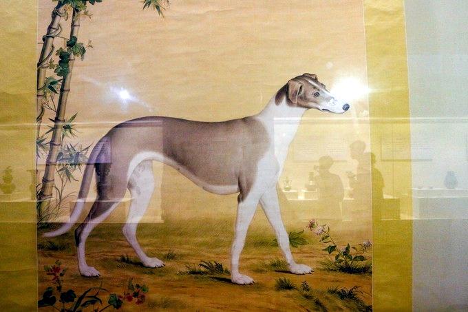 游皇太极、孝庄的皇宫——沈阳故宫（千里带你云游天下第21站）