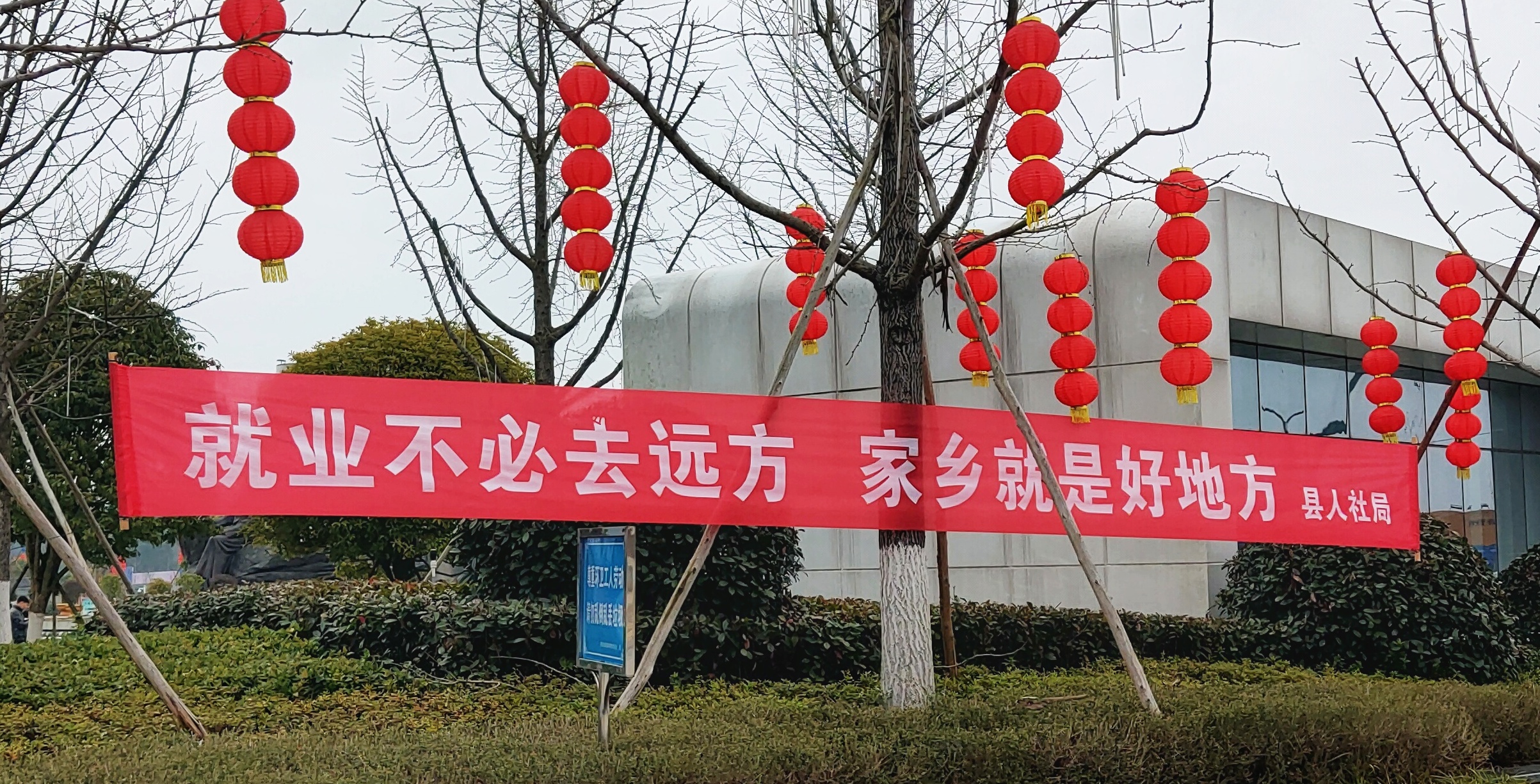 浙江创业贷套路骗局,浙江创业贷款政策2024最新政策