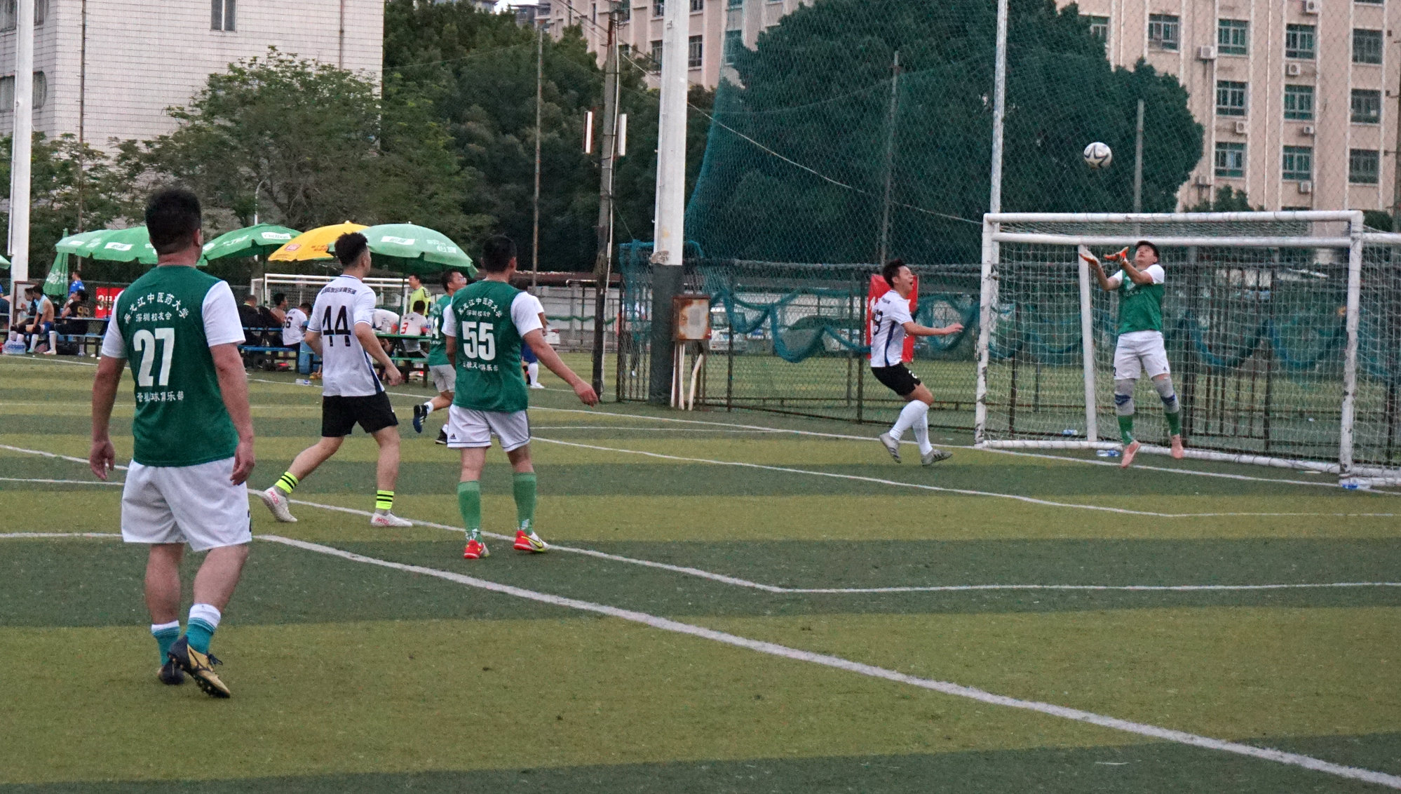 西南财大vs金强,苍狼vs老虎