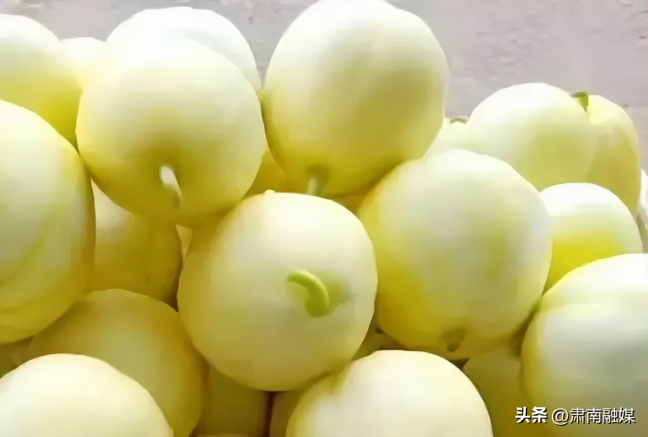 甘肃平凉泾川与北京国安足球赛,甘肃省平凉市泾川县一夜爆红