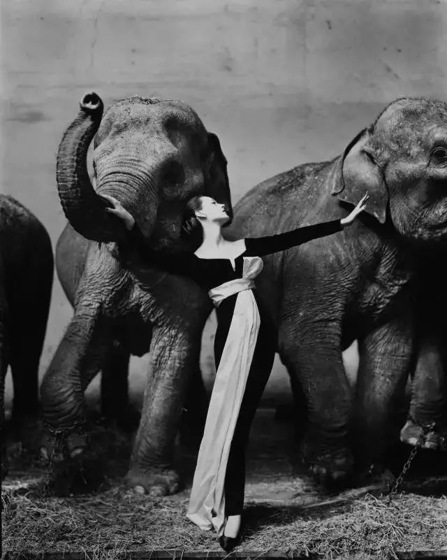 世界十大顶级摄影大师人像图片,近现代摄影大师及其代表作