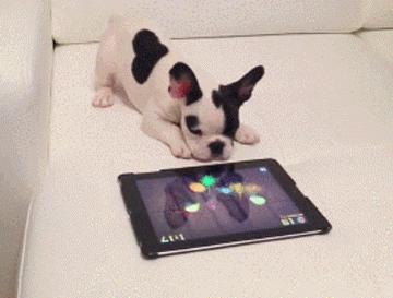 平板电脑的英文缩写是pad吗,平板电脑英文怎么搞成中文