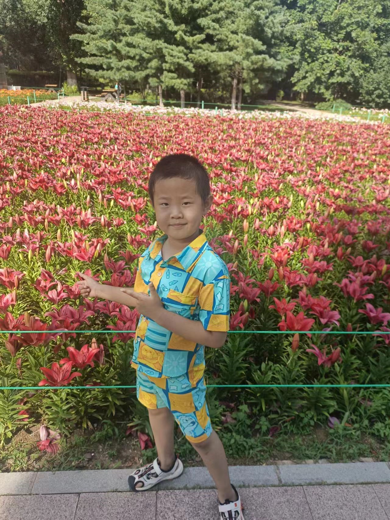 沈阳郎朗钢琴演出,沈阳郎朗钢琴演出免费