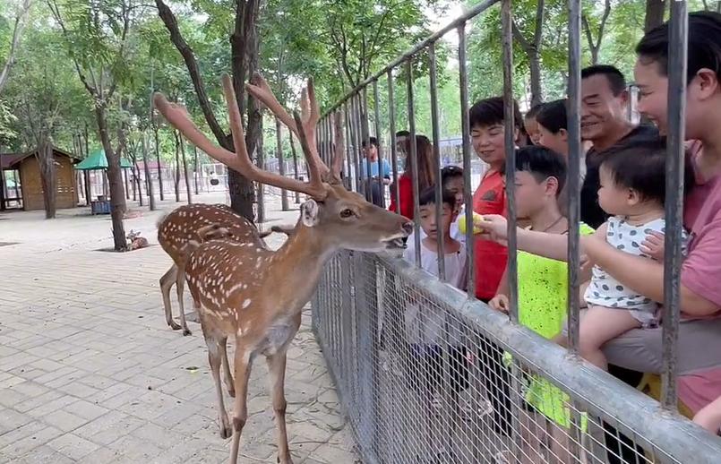 郑州最适合踏青赏花爬山的地方,郑州春日赏花好去处推荐