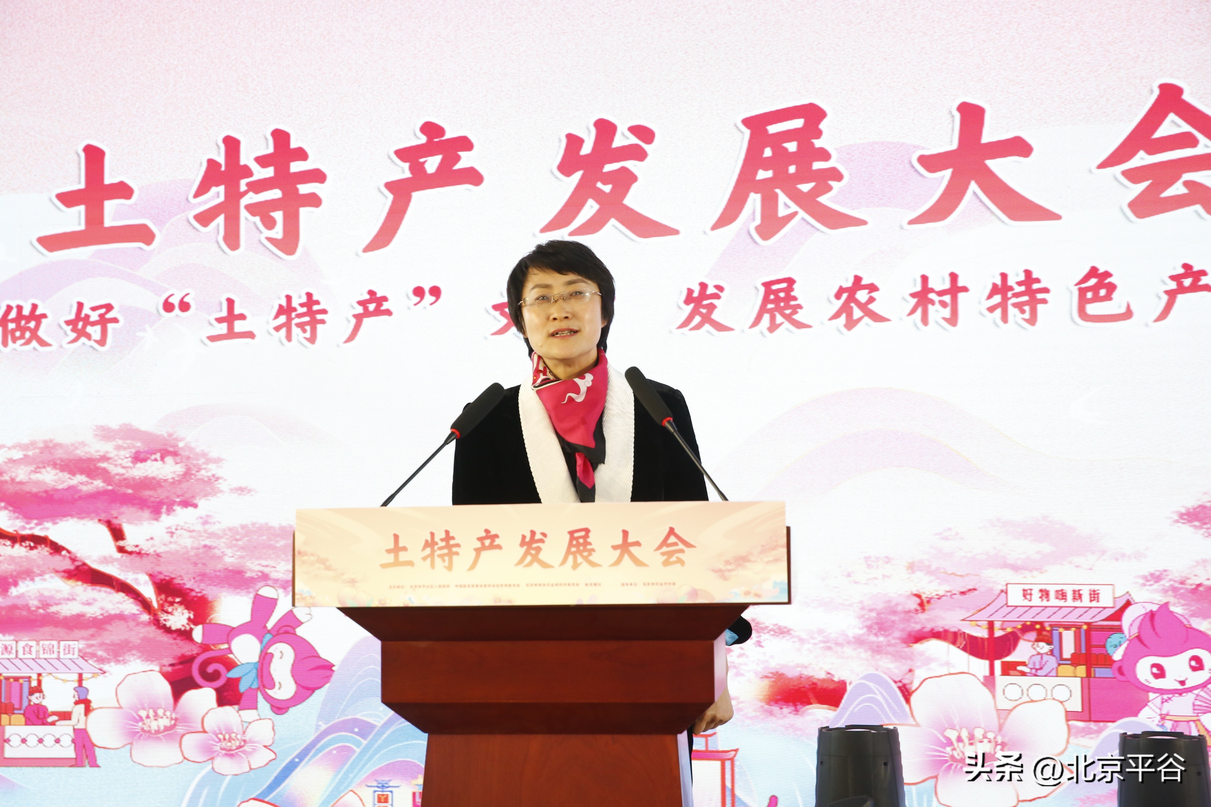 平谷土特产发展大会召开,平谷农业产品发展