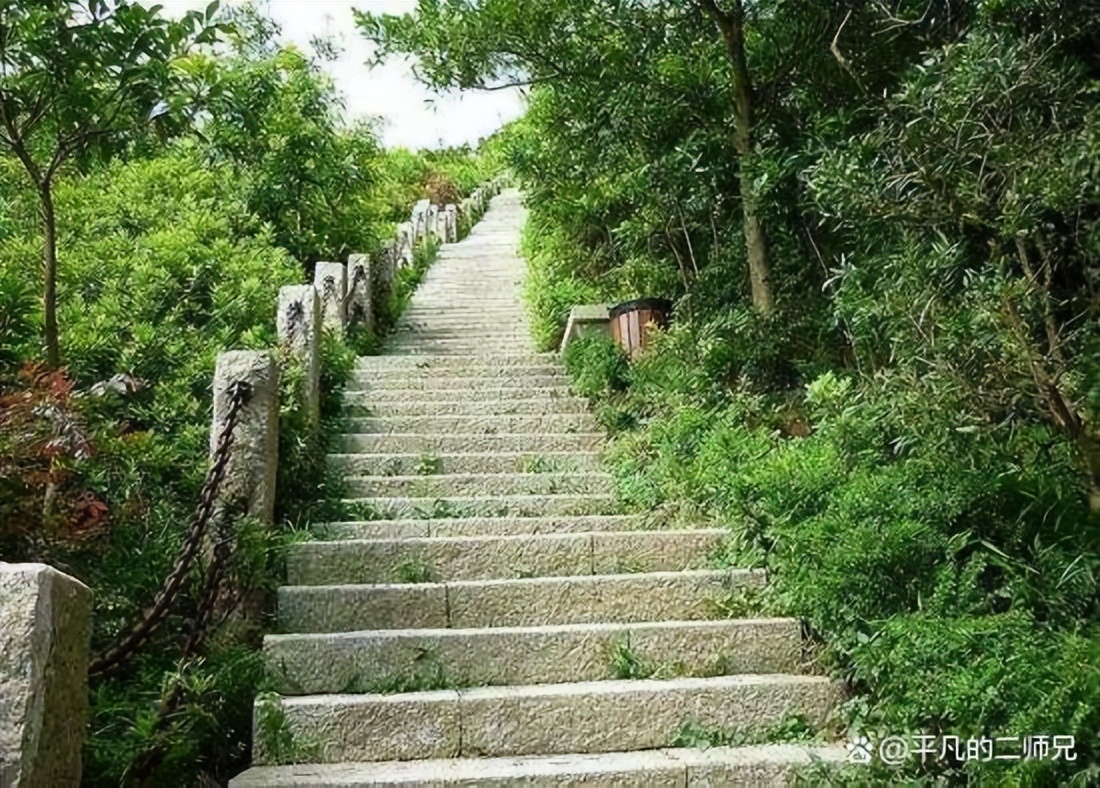 深圳平湖周边哪里有好玩的地方,深圳十大必去的地方免费景点推荐