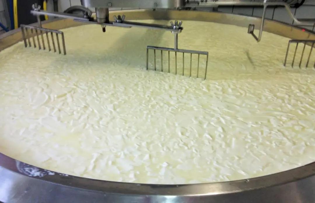 又咸又臭外面裹一层辣的奶酪,硬奶酪又臭又咸