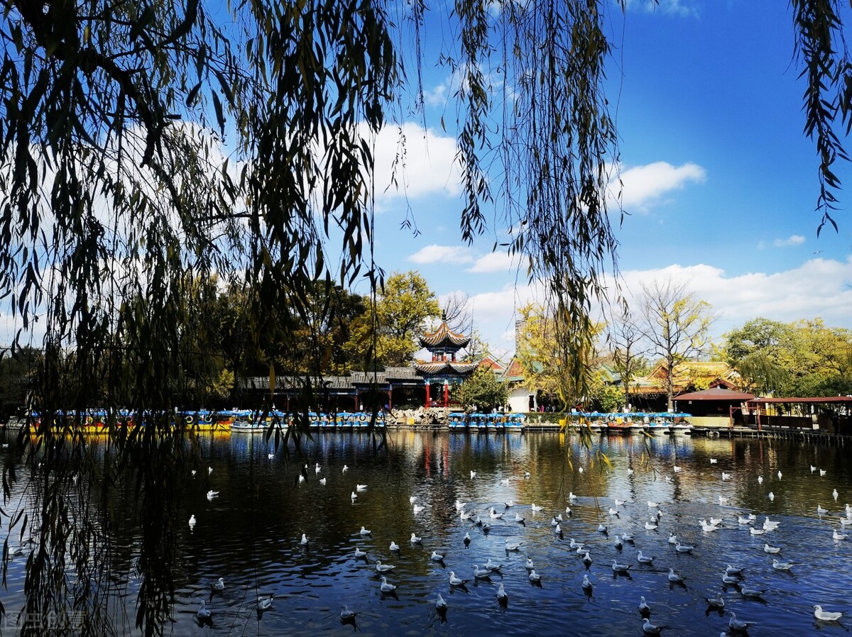 昆明的市中心在哪里?五大优势不可替代,确实太保值了