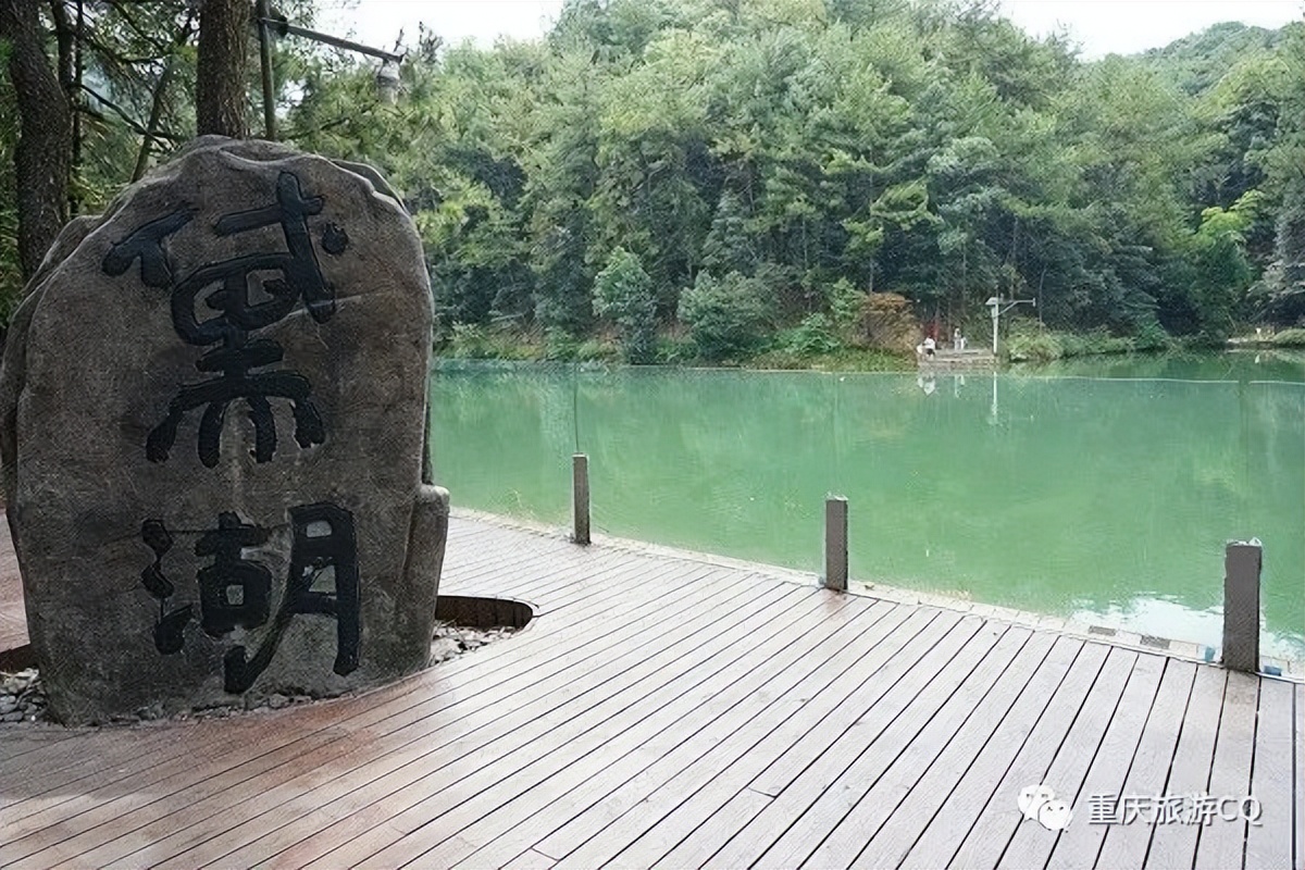 冬日游缙云山,缙云山冬日一日游详细攻略