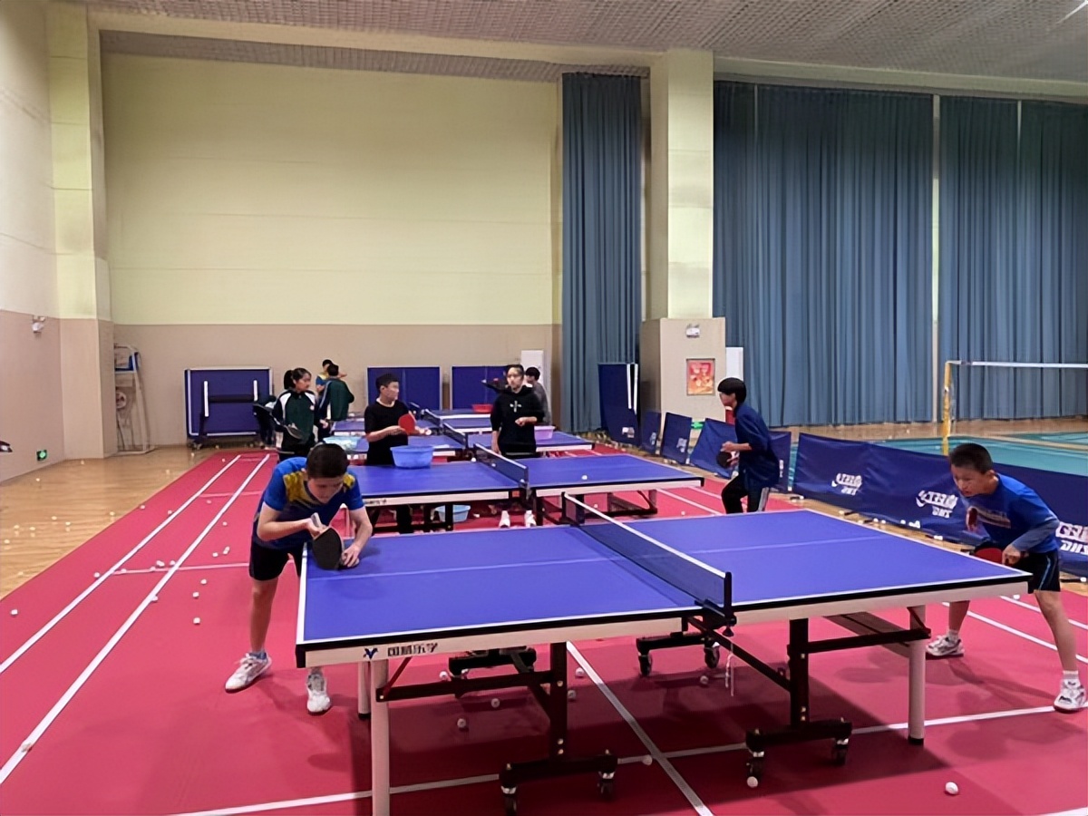 传承体育文化弘扬体育精神为主题,弘扬国球精神感受乒乓魅力