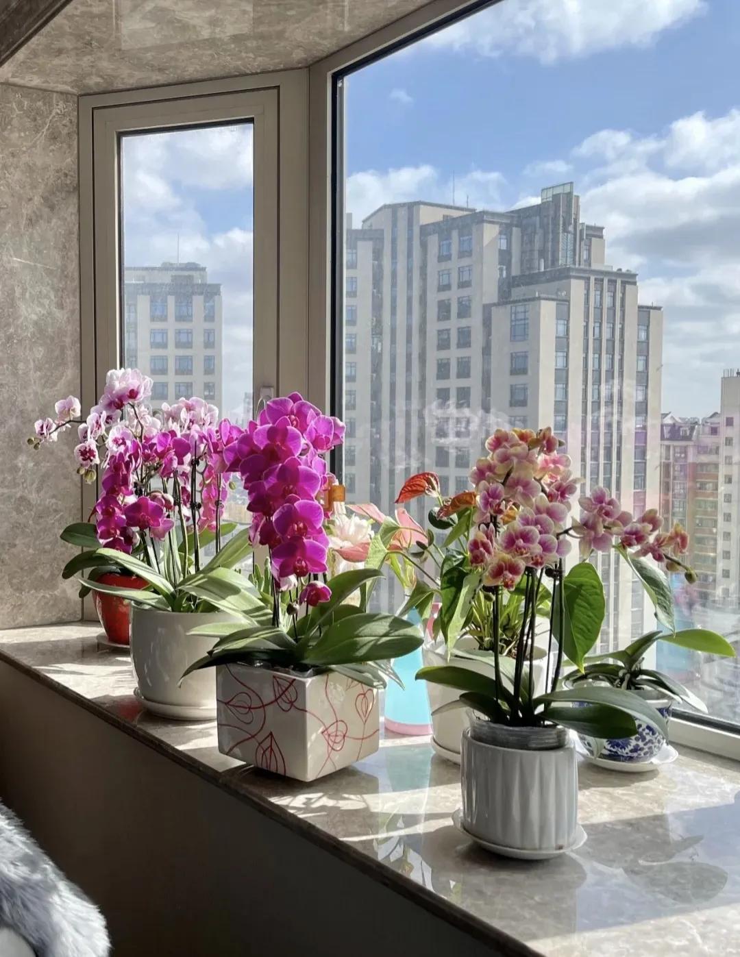 哪些花草对身体有害,哪些花卉会对人体造成不良反应