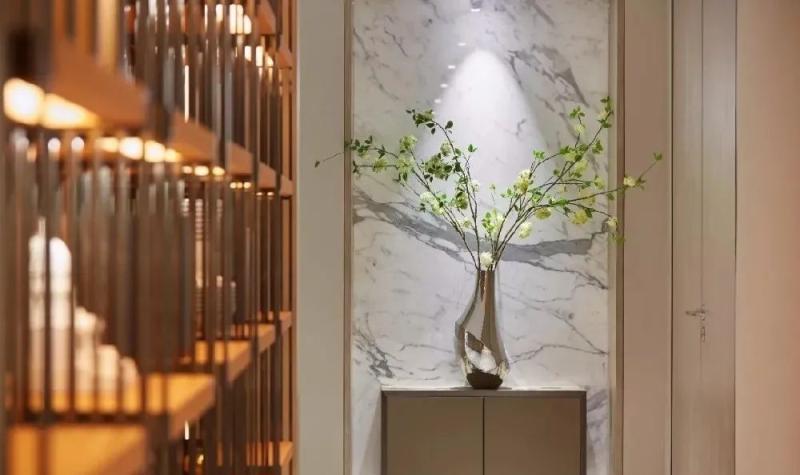 入门玄关适合摆放什么花草好看,新房装修好放什么花草好