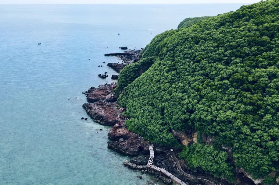 这座岛究竟有何神奇之处,怎么玩海陵岛不踩坑