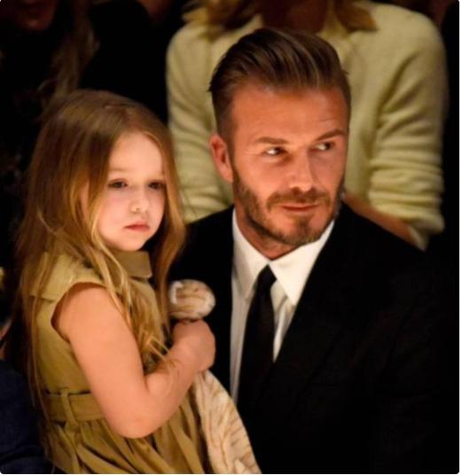 贝小七变成小才女,最会投胎的小公主