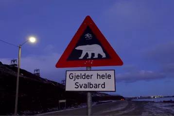 北极圈极夜生活,北极圈的极夜生活