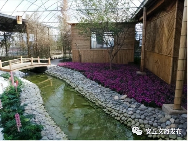 潍坊旅游发展,潍坊东亚文化之都旅游资源丰富