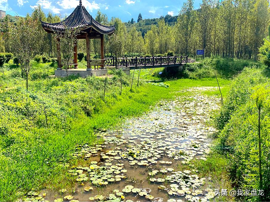 幸福新时代主题绘画图文,幸福盘龙