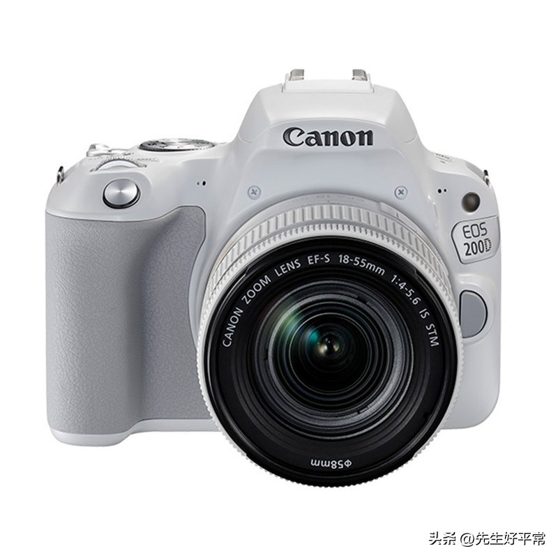 新手入门相机是数码还是单反,摄影初学者哪个单反好