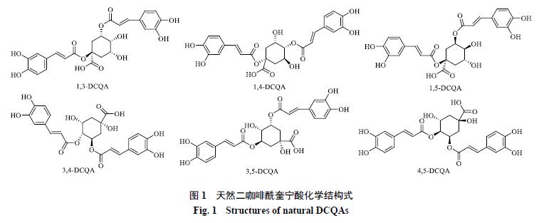 二咖啡酰奎宁酸英文名称,二咖啡酰奎宁酸是什么