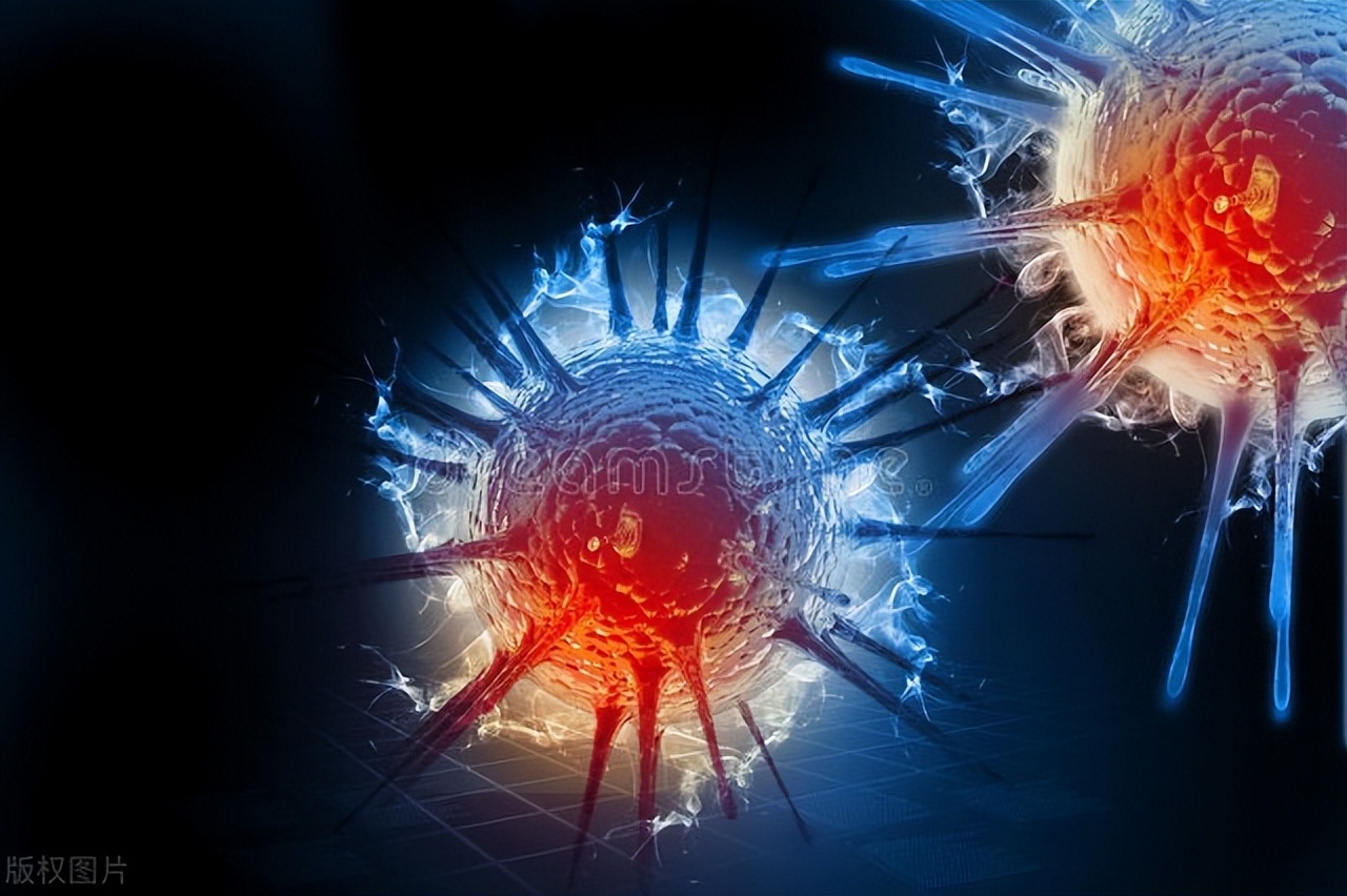 hpv11和hpv6主要的感染途径,hpv-6病毒是通过什么途径感染