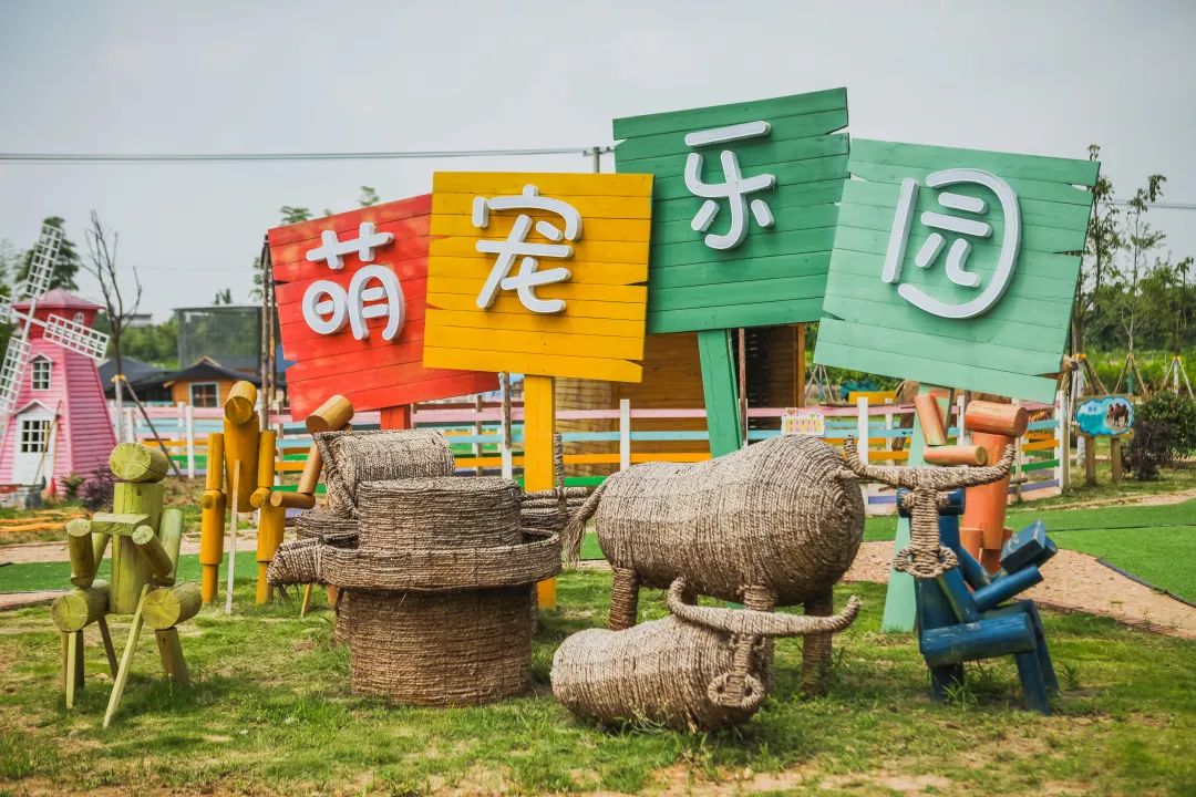稻梦空间乡村生态观光园,稻梦空间采摘园