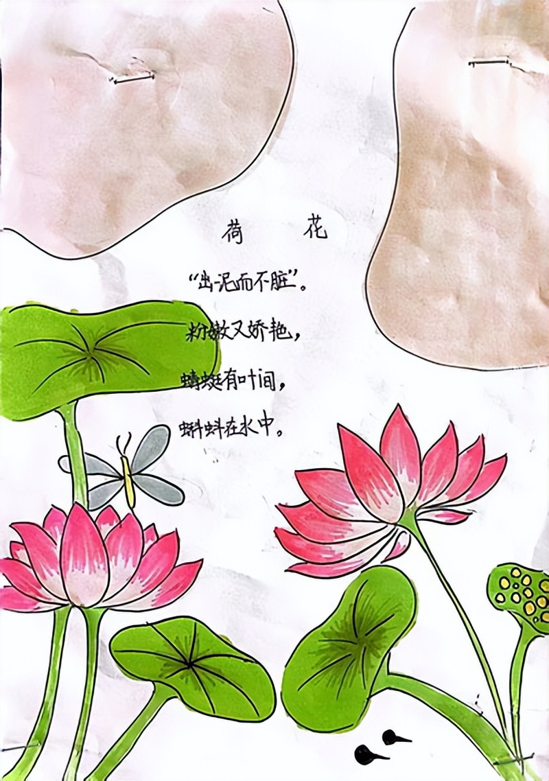 都江堰市灌州小学2022届,都江堰灌州小学2022届