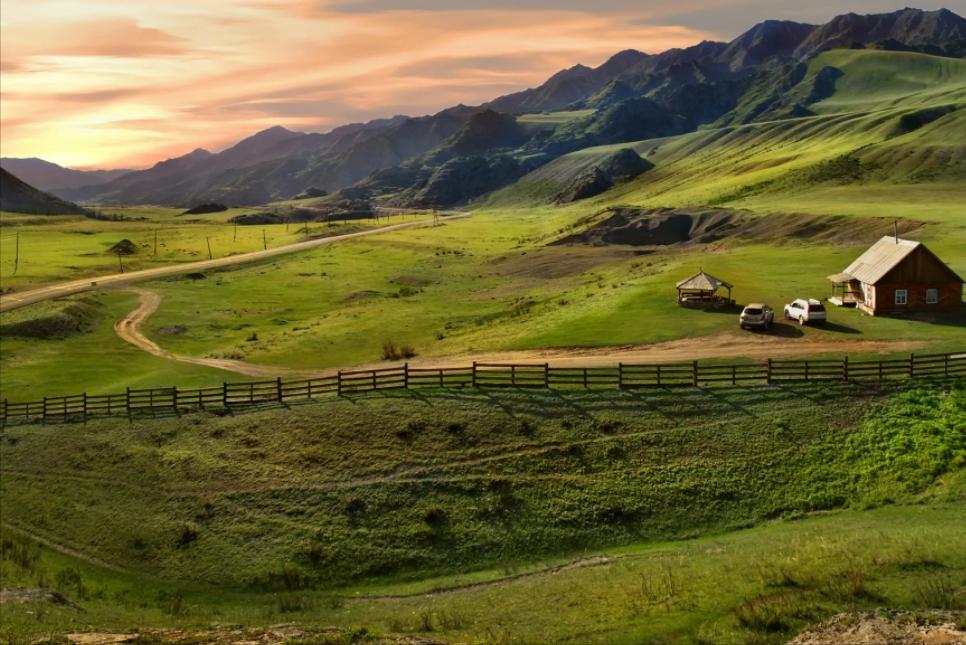 走进静谧的田园生活,田园生活的探索与感悟