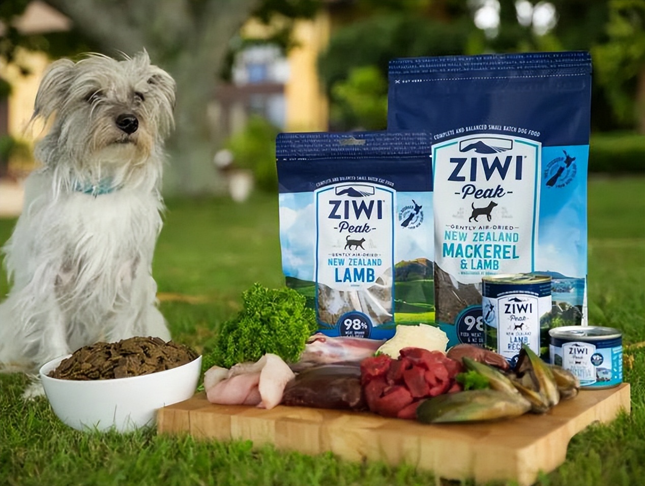 新西兰个税税率一览表,新西兰税收有多高