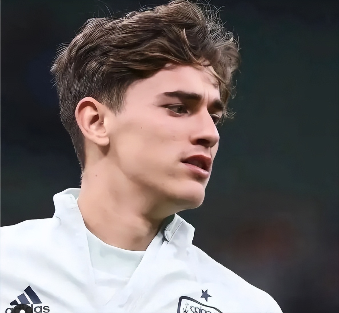 世界杯看球赛,世界杯看球赛的人多震撼