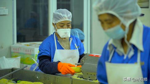 农地云,乡村振兴鲜食玉米产业