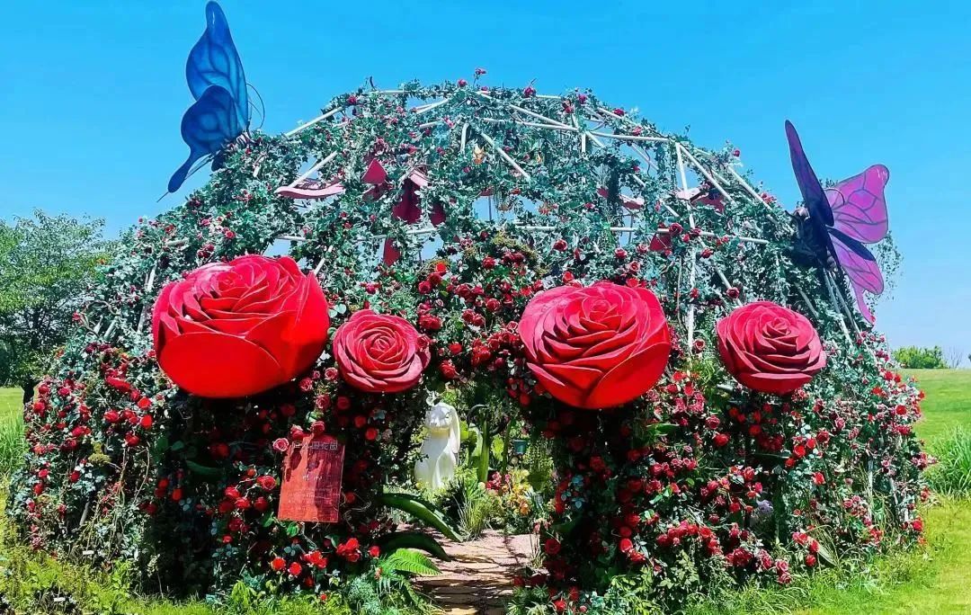 现在去刚好！千亩油画花海等你来采摘