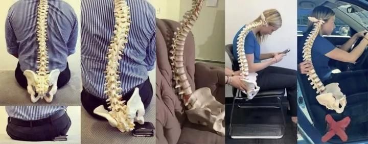 打工人老腰拯救：为什么选人体工学椅？高性价比工学椅自用体验