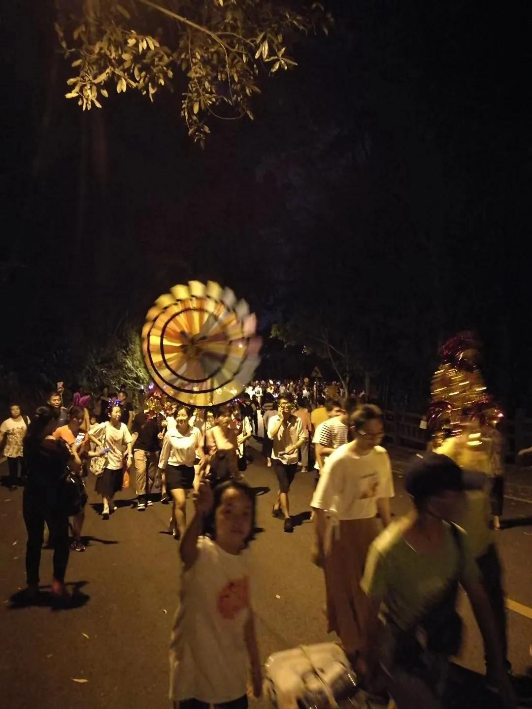 过重阳节你是怎样过的,你打算怎么过重阳节